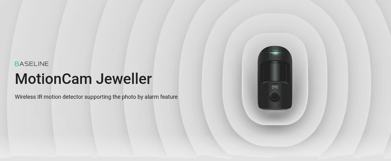 Bee Secure motion detector with photo verification
